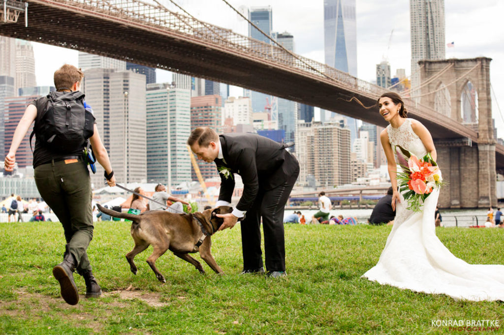 Description: A bride and groom with a dog in front of the Brooklyn Bridge.