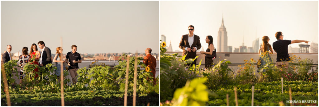 A group of people are standing on a rooftop with a breathtaking view of the city during a Brooklyn Grange wedding.