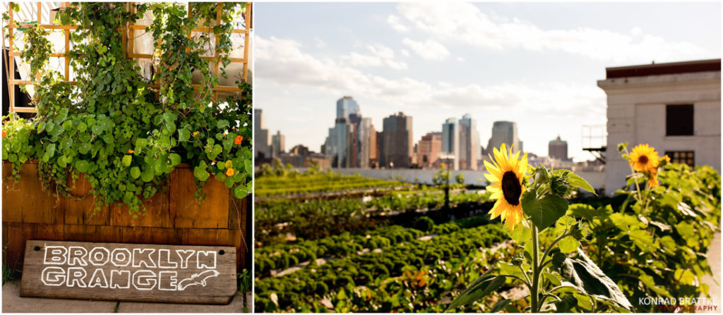 Brooklyn Grange is the perfect venue for a garden wedding. Located in Brooklyn, this beautiful garden space offers a romantic and enchanting setting for your special day. Say "I do" surrounded
