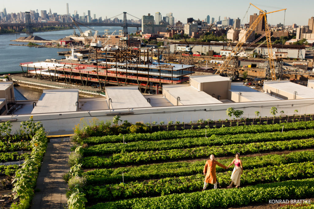 A romantic couple strolling on a Brooklyn rooftop, taking in the breathtaking view of the city during their intimate Grange wedding.