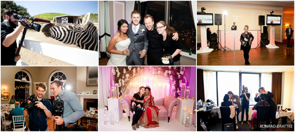 A collage of pictures showcasing a vibrant wedding reception, complete with the unexpected presence of a zebra.