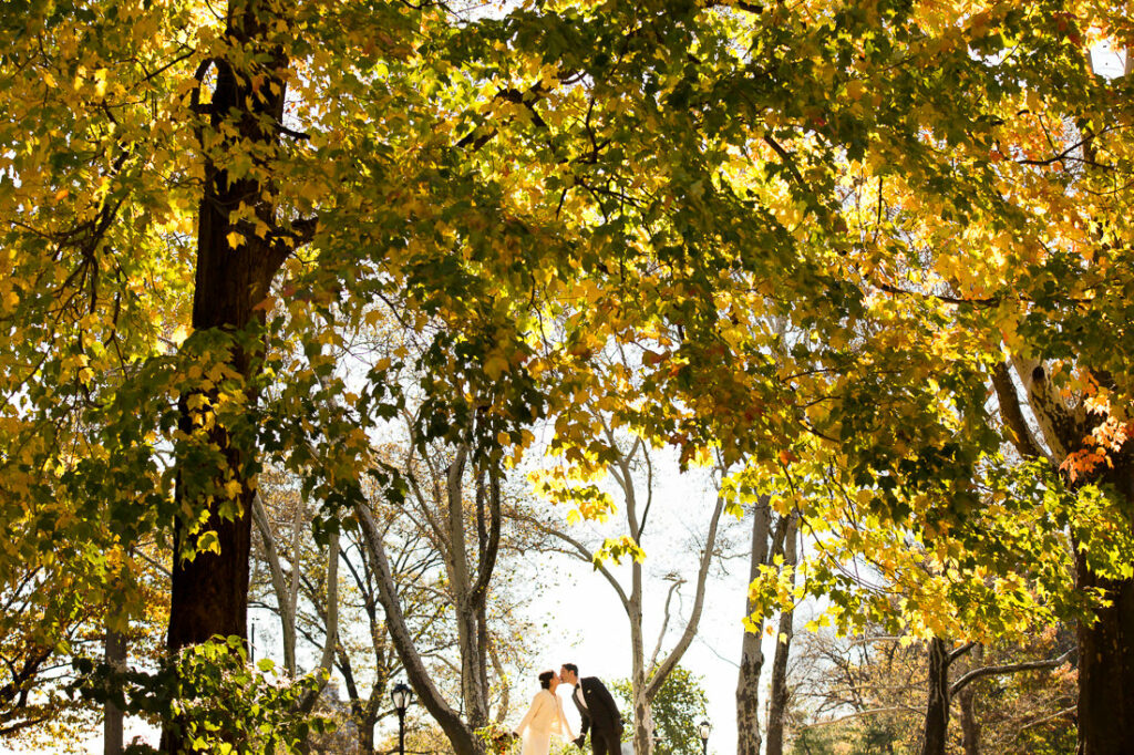 A bride and groom standing under a tree in central park.