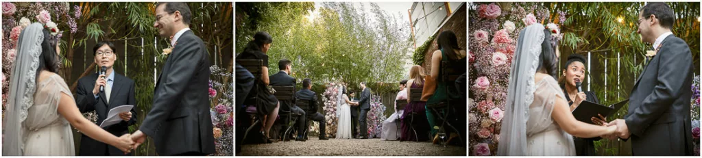 A bride and groom under a tree.